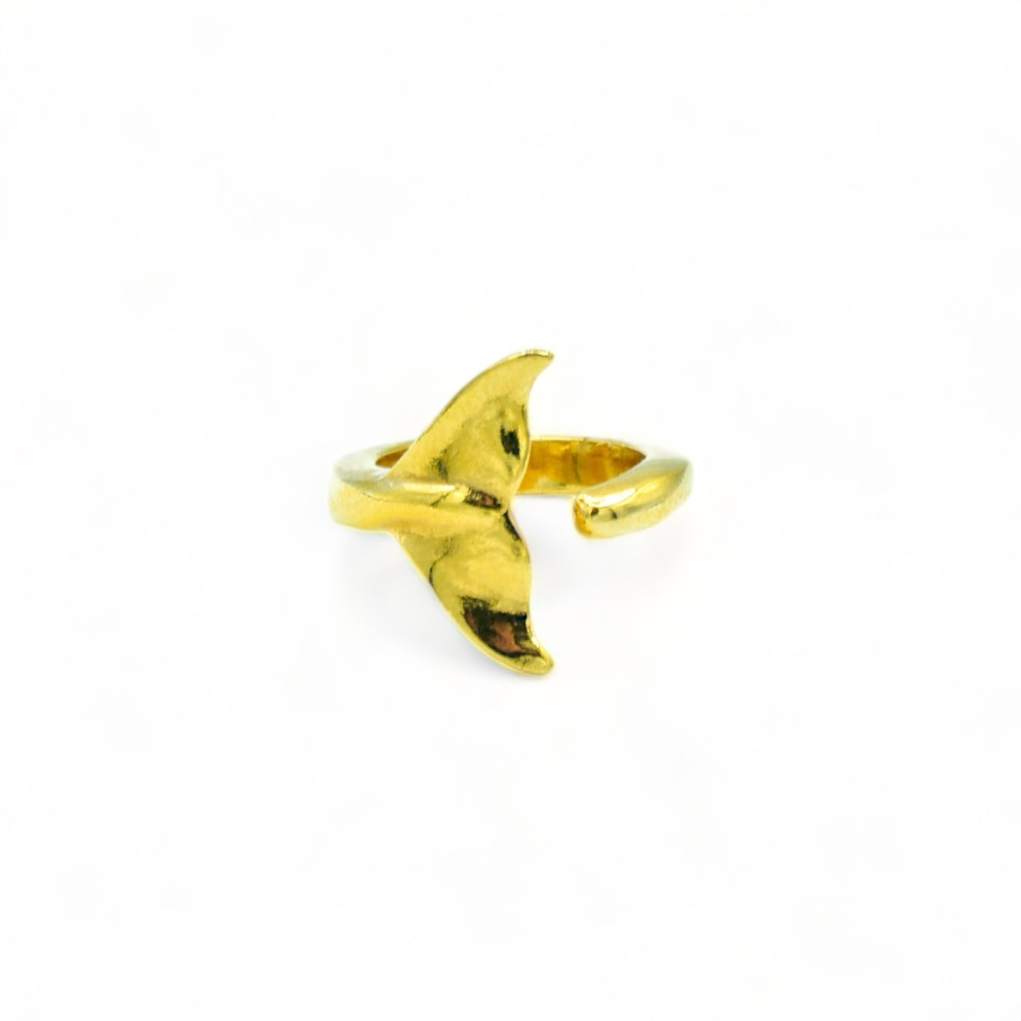 "Agua Salada" Ring