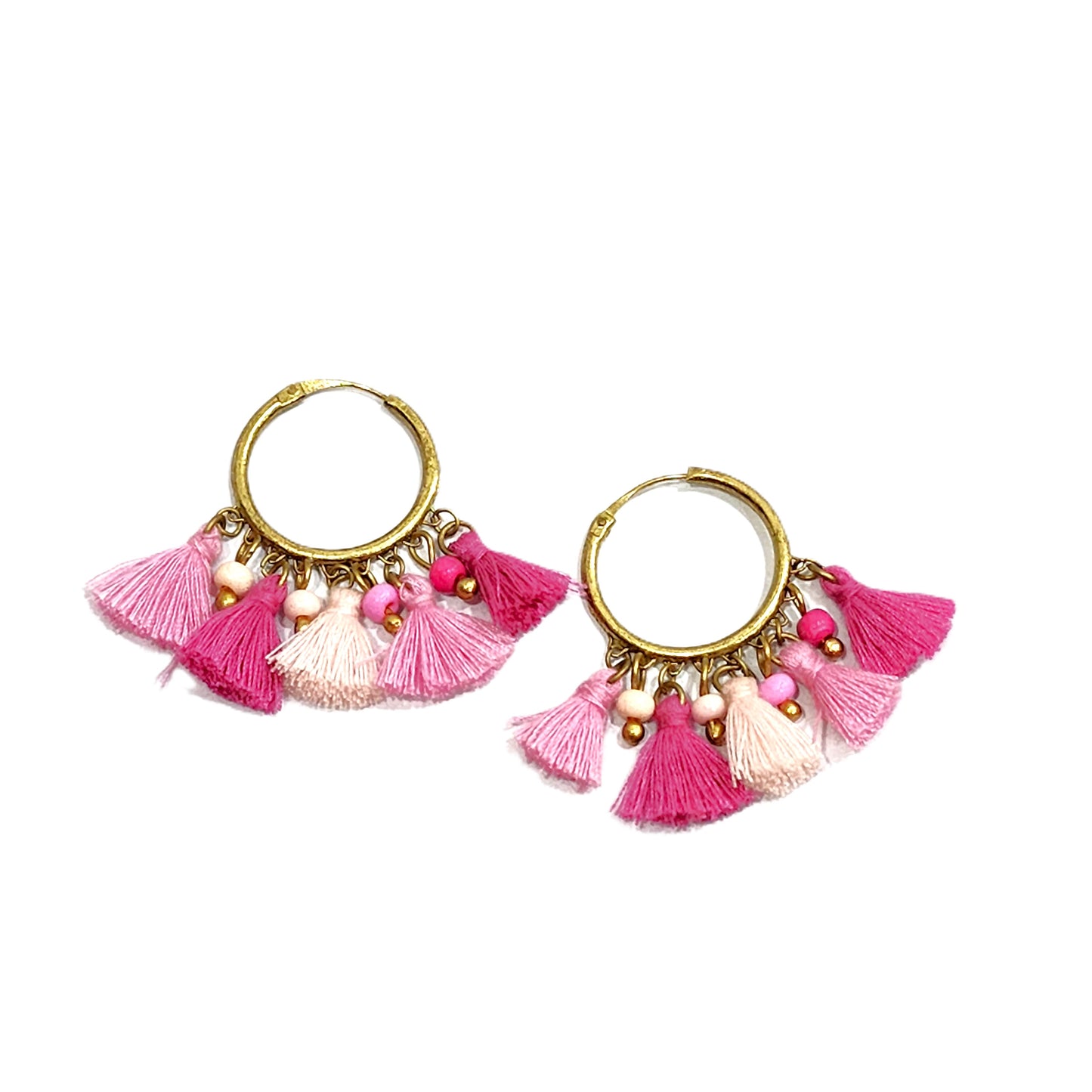 Small Hoops Tassels Earrings