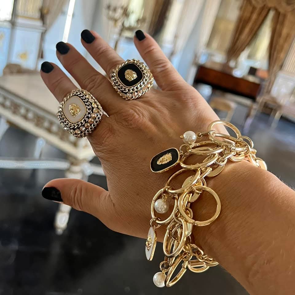 Leone di Venezia