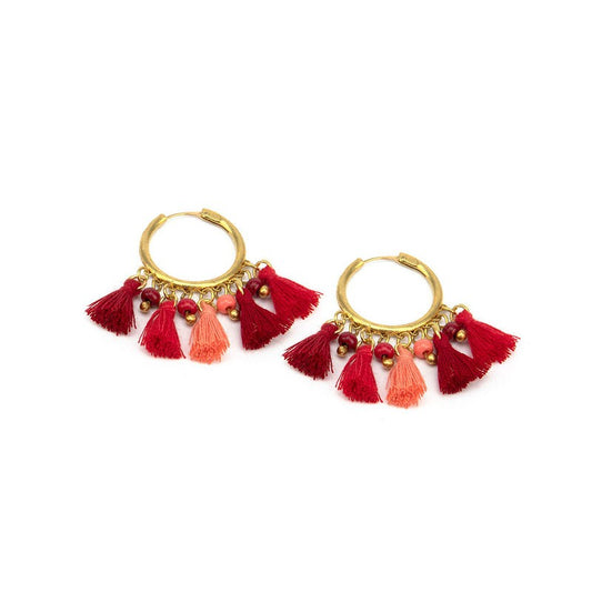 Small Hoops Tassels Earrings